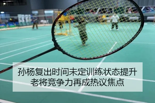 孙杨复出时间未定训练状态提升 老将竞争力再成热议焦点